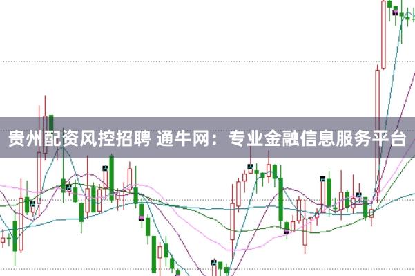 贵州配资风控招聘 通牛网：专业金融信息服务平台