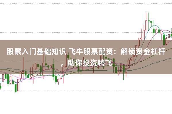 股票入门基础知识 飞牛股票配资：解锁资金杠杆，助你投资腾飞