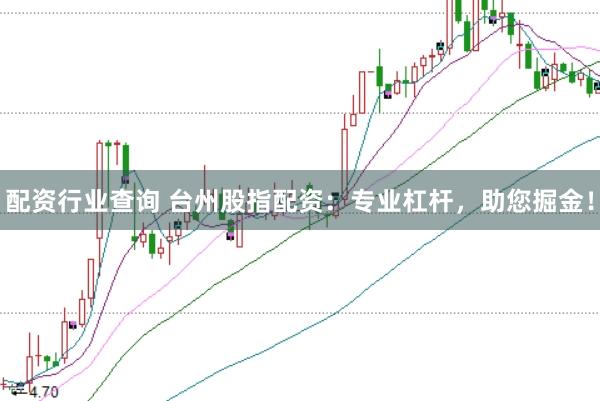 配资行业查询 台州股指配资：专业杠杆，助您掘金！